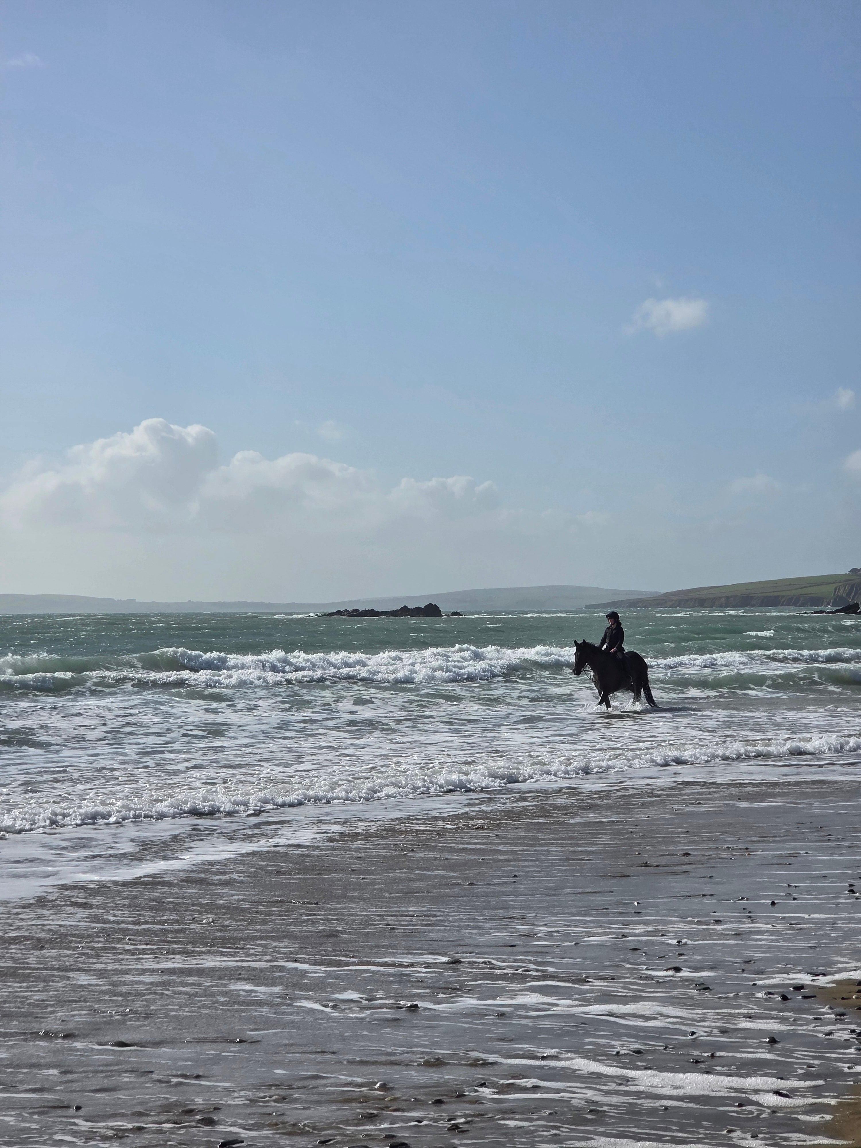 Home - A St Patrick's Day Reflection - Wizard & Grace