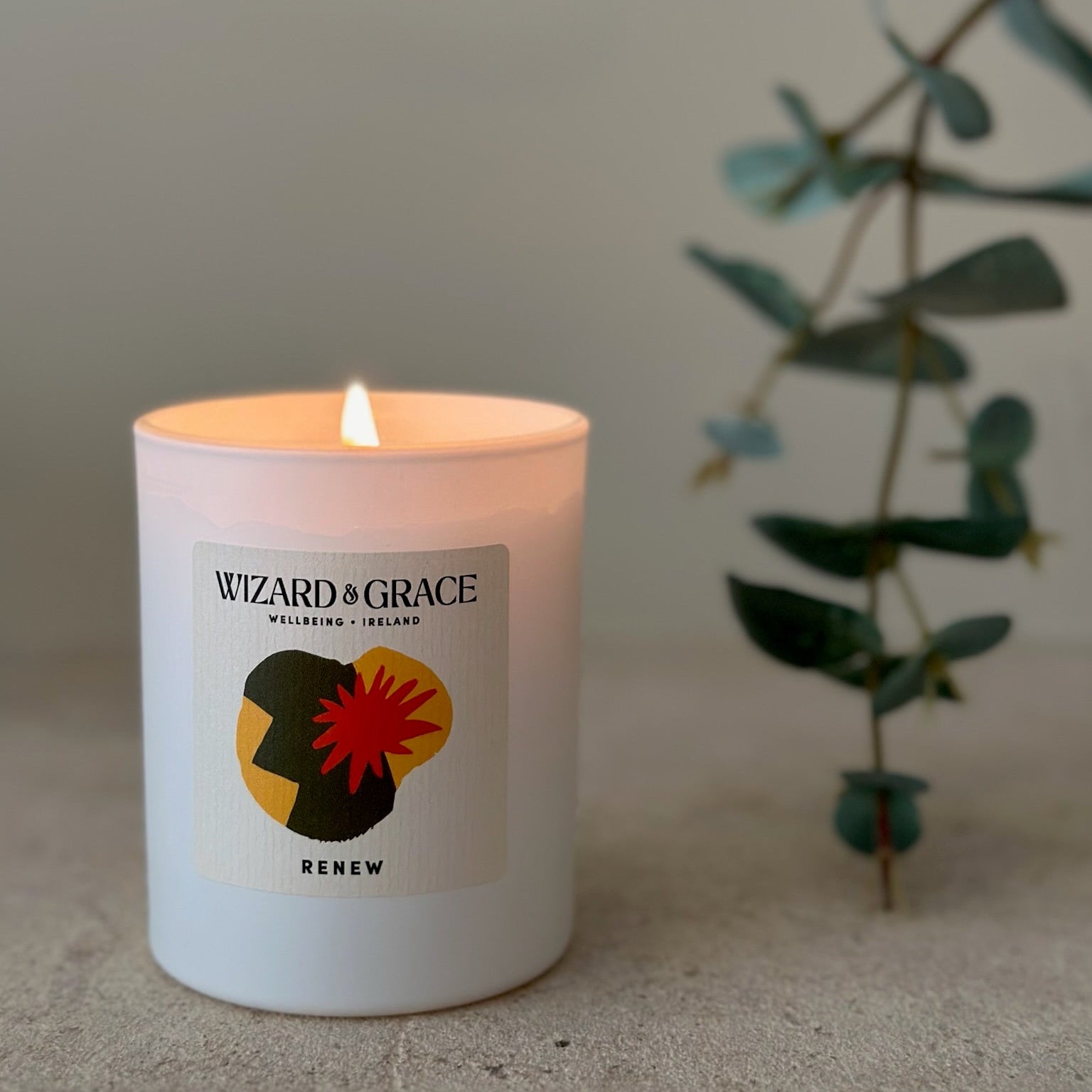 Candle with 'Wizard of Grace' branding next to a plant on a neutral background