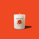 The Courage Candle lit, emitting a warm glow, with a herby scent of Rosemary, Bergamot, and Orange by Wizard & Grace